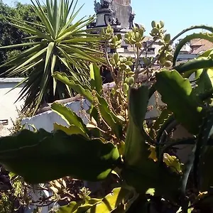 Creative Apartmán